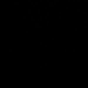 Meet your Posher, Shane